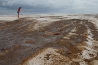 Oil comes ashore, Pensacola, FL