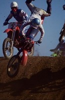 Bad Luck Joe, New Jersey