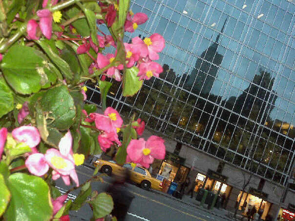 Bryant Park, 42nd Street, NYC