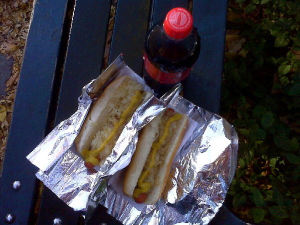 Lunch for $ 5.50 in Central Park, NYC